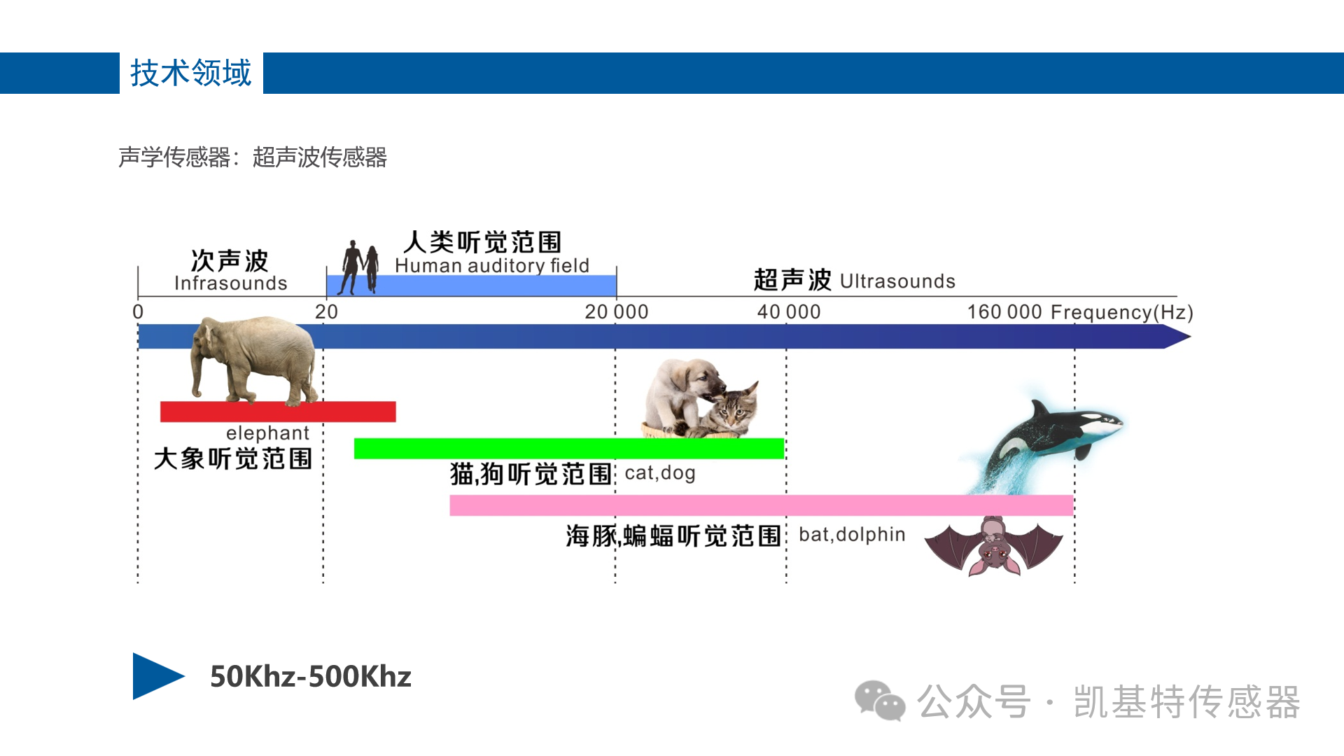 凱基特科普 | 超聲波傳感器的工作原理與應(yīng)用